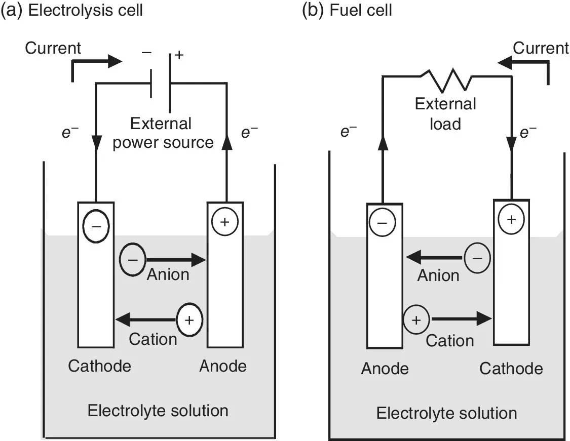 Electrolysis cell (left) and fuel cell (right) with vertical bars labeled cathode and anode connected to external power source (left) and external load (right) in an electrolyte solution.