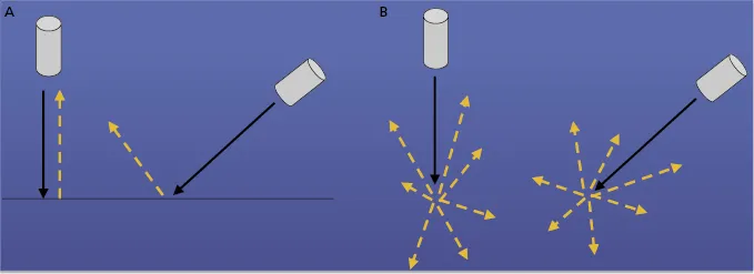 c1-fig-0004