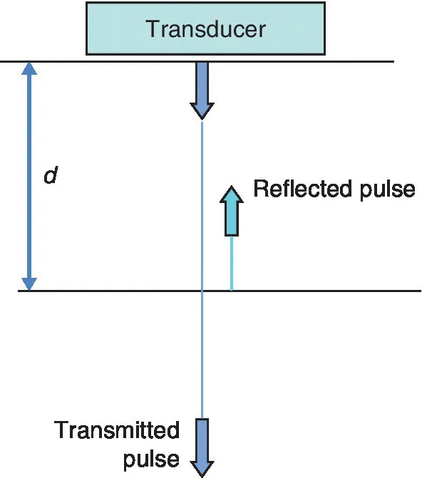 Schematic illustrating the time taken (t) for the echo with an arrow pointing down from the transducer to the transmitted pulse with a depth (d) of the reflected pulse.