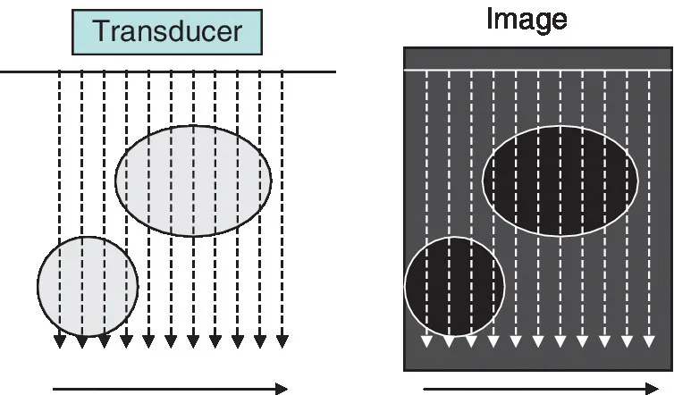 Image described by surrounding text.