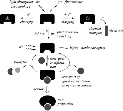 c2-fig-0001