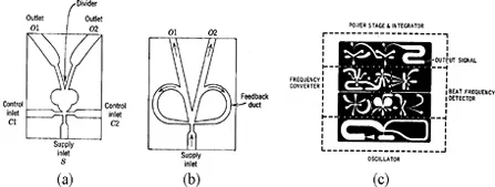 fig1.1.webp