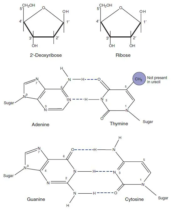 c01_fig01.webp