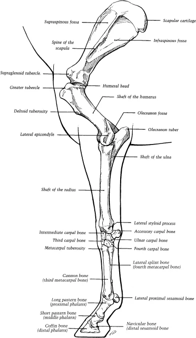 ch01-fig1-2.webp