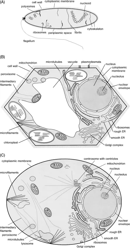 ch1-fig1.2.webp