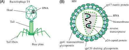 ch1-fig1.3.webp