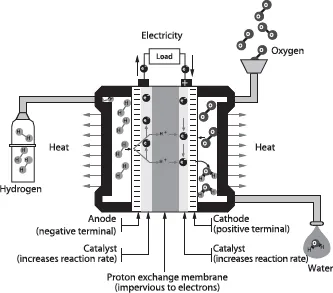 Figure 1.1