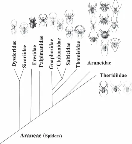 fig11_01