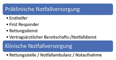 Bild 1: Schnittstellen der Notfallversorgung