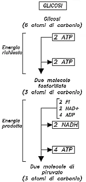 figura1.webp