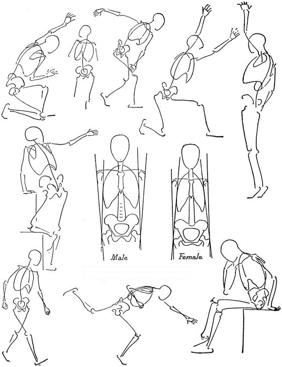 [PDF] Anatomy and Drawing by Victor Perard eBook | Perlego