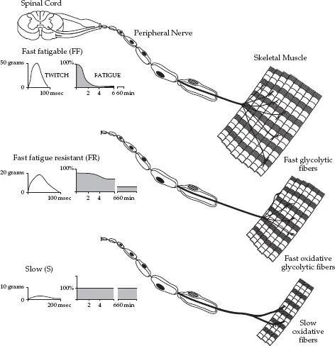 fig3_01