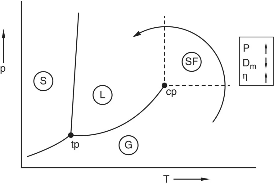 Phase diagram for a single pure component displaying lines sharing the same vertex labeled tp and dash lines having the same vertex labeled cp and portions labeled S, SF, and G with curve arrow pointing to L.