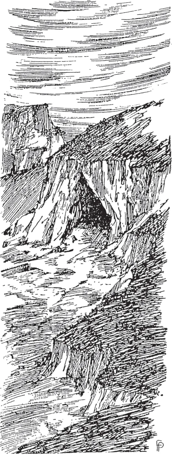 Immagine decorativa.