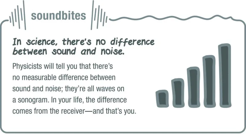 Image of a soundbite in which it is stated that in science, there is no difference between sound and noise, but for the reader, the difference comes from them, the receiver.