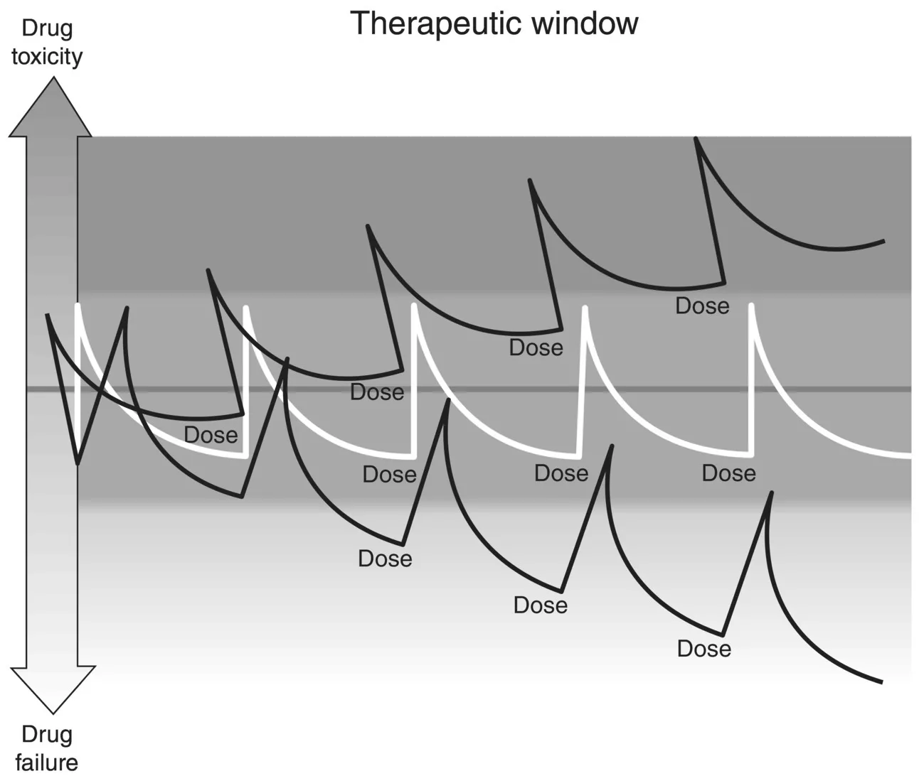 Therapeutic window displaying three sawtooth waveforms (ascending, horizontal, and descending) with a vertical two-headed arrow at the left with arrowheads for drug toxicity (top) and drug failure (bottom).