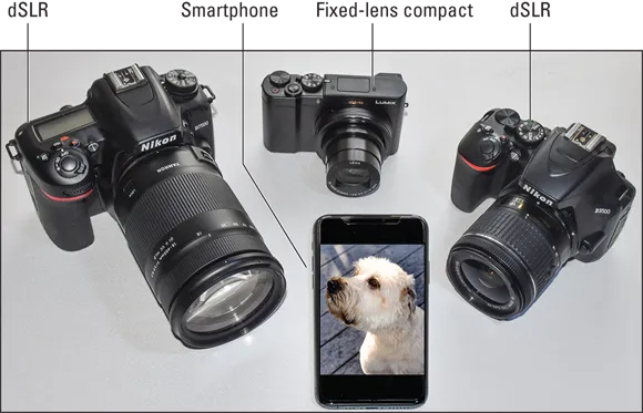 Photo displaying two DSLRs, a smartphone, and a fixed-lens compact.