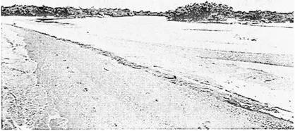 FIGURE 1.1 Riverine-estuary environment on the southern Isthmus of Tehuantepec near JuchitĂĄn. (Courtesy of Robert and Judith Zeitlin.)