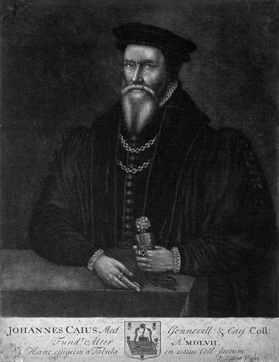 Figure 1 John Caius (1510–1573). Mezzotint by J. Faber, 1650.