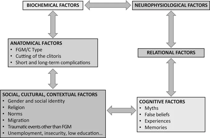 Figure 1.2 Factors influencing women’s sexuality after FGM/C.