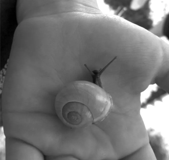 Figure 1.1 Alisha (8 years old) took a photo of Rapido, her pet snail.