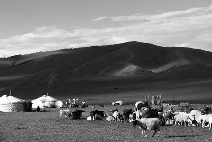 Figure 1.1 Nomadic Lifestyle in Mongolia