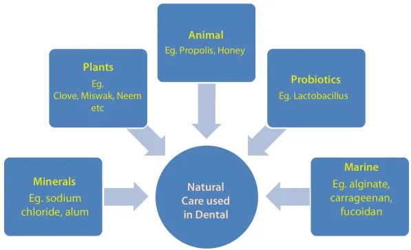Diagram displaying five boxes for minerals, plants, animal, probiotics, and marine having arrows pointing to a circle labeled “Natural Care used in Dental.” Each box contains a list of examples.