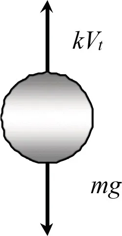 No alt text required