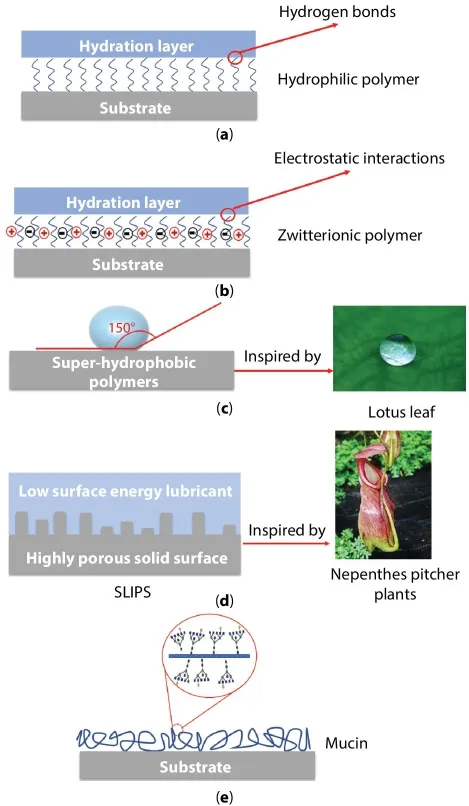 Image described by caption.