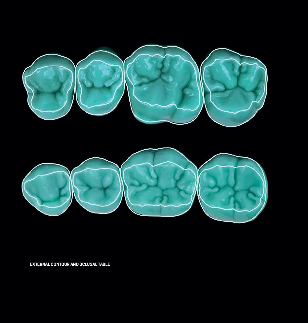 [PDF] Dental Anatomy and Morphology by Hilton Riquieri eBook Perlego