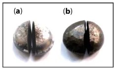 Image described by caption.