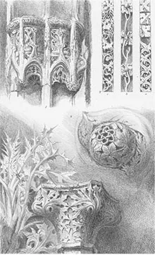 Figure 1.1 John Ruskin, Ornaments from Rouen, St Lô, and Venice, from The Seven Lamps of Architecture, 6th edn (Orpington: George Allen, 1889, plate 1, p. 27).