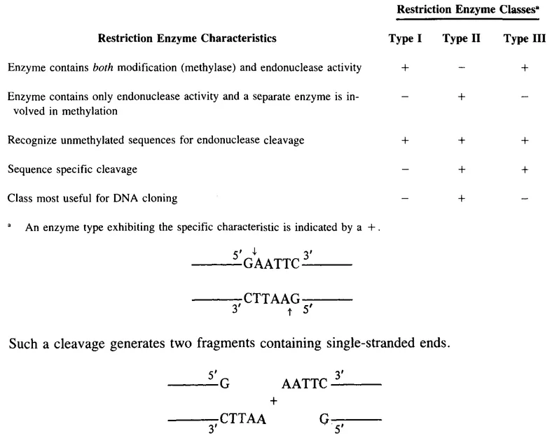 Table 1 RESTRICTION ENZYME TYPES