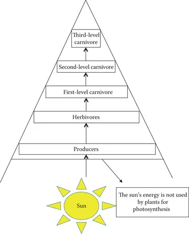 image fig1_1.webp