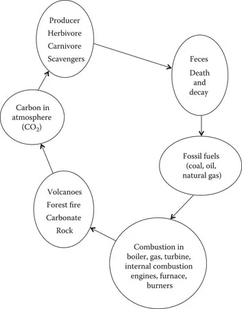 image fig1_2.webp