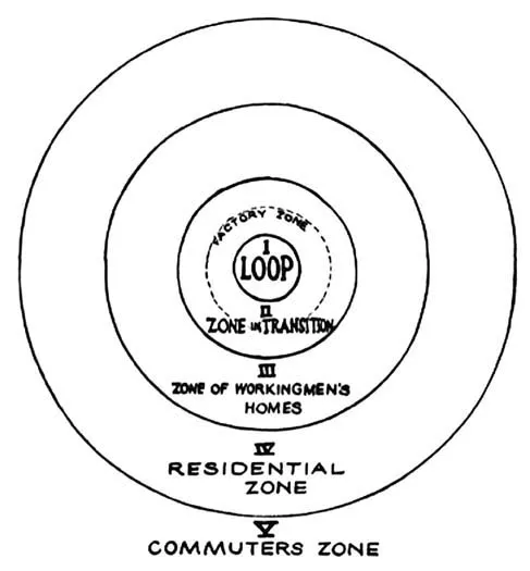 Figure 1.1 Burgess and his model of urban zones naturalise segregation