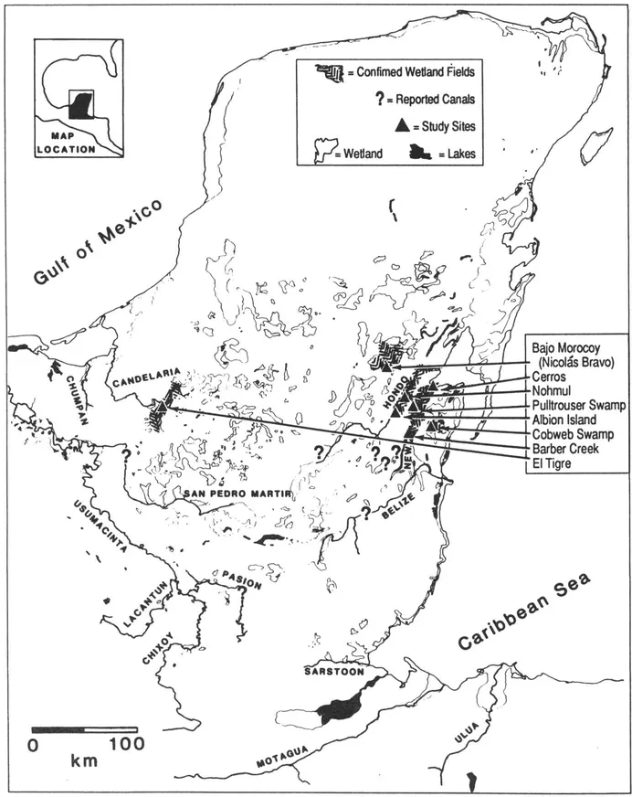 Figure 1.1. Wetland fields in the Maya Lowlands. Adapted from Pope and Dahlin nd. In northern Belize Maya cultivated wetland peats about 1000 B.C. They ditched fields for drainage in the Late Preclassic and Early Classic periods (perhaps AD.0-550) and probably in Terminal Late Classic/Early Postclassic times (perhaps AD. 900-1000 or later).