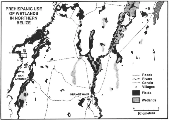 Figure 1 2. Map of ditched features in the vicinity of Albion Island, northern Belize (courtesy of A H. Siemens)