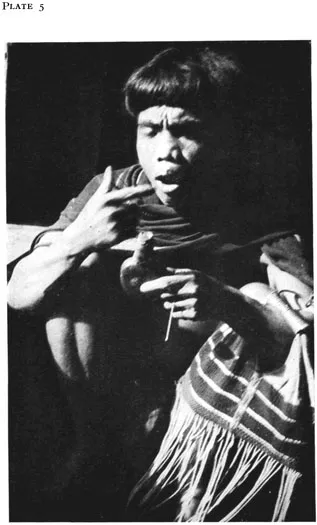 NgĂdulu, perched on a chair in my