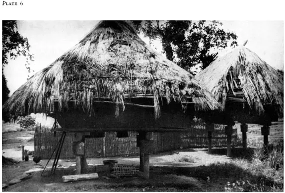 NgĂdulu's house, the roof of which testifies to his aversion to toil; granary in the background