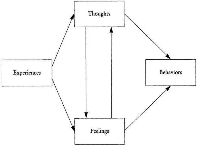 FIGURE 1.1 Overall conceptual model