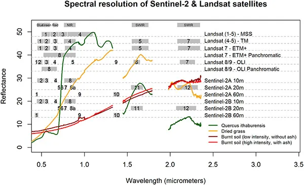 FIGURE 1.1 Position of the spectral bands (excluding the thermal) of Landsat and Sentinel-2 satellite sensors in the electromagnetic spectrum along with some spectral curves captured by a portable field spec-troradiometer (ASD FieldSpec® 4 Hi-Res) of vegetated, dry-vegetated, and burned areas.