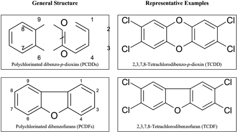Figure 1.1 General molecular structure of polychlorinated dibenzo-p-dioxins (PCDDs) and polychlorinated dibenzofurans (PCDFs) and their respective representative examples.