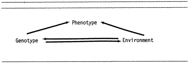 FIGURE 1.1 An Interactive Paradigm