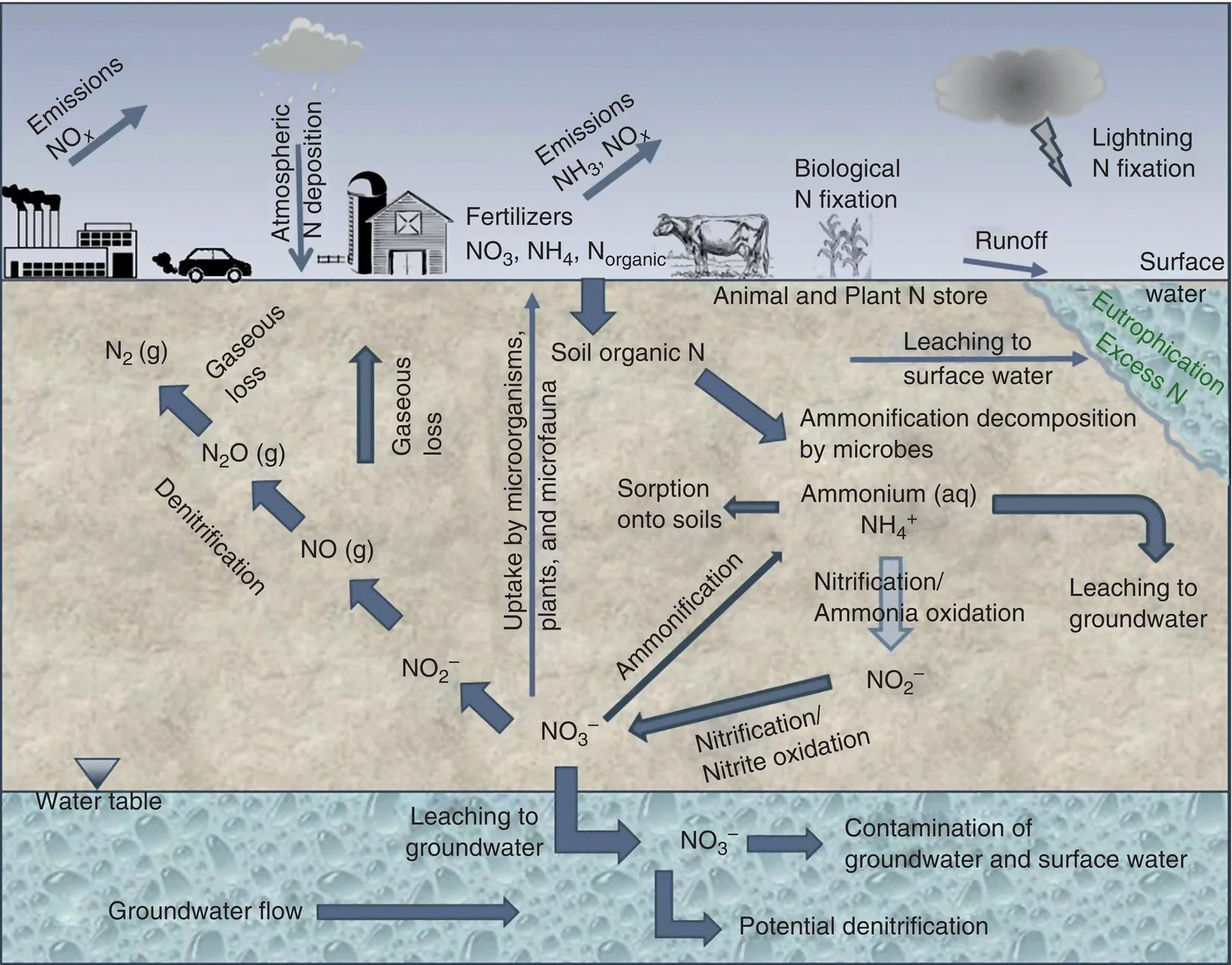 Image described by caption.