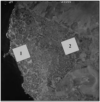 Figure 1.2 The Hiva Hiva lava flow showing the location of Survey Areas 1 and 2