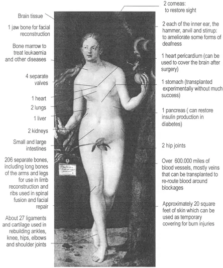 Figure 1. Usable organs and tissue from a single corpse