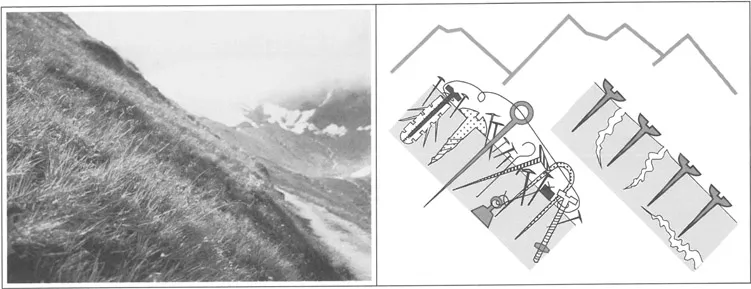 Figure 1.1 The integrity of steep alpine slopes such as this one, at 2500 m in the Swiss central Alps, is secured by plants, their belowground structures in particular. The cartoon to the right symbolises the need for a multitude of ‘tools’ to do the ‘job’