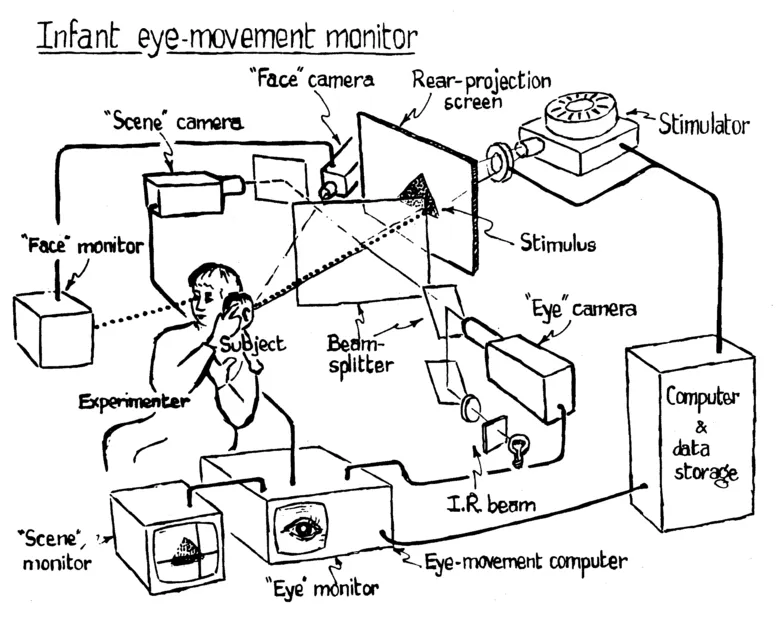 FIG. 2. A schematic representation of the elements of an infrared eye movement recording system for use with infants.