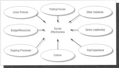 Figure 1.2 Fixed factors influencing survey effectiveness